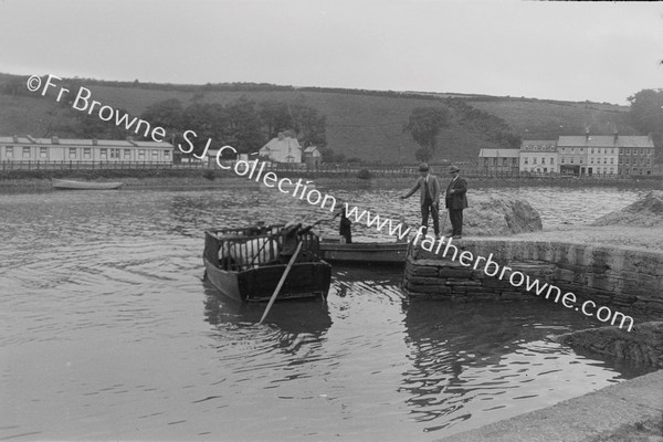 CATTLE FROM WHIDDY ISLAND